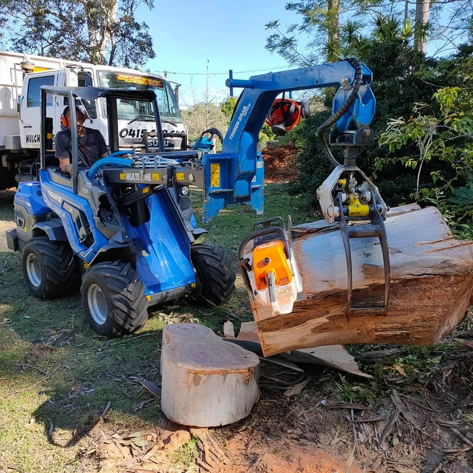 Don't Cut Yourself Tree Services Logan | Safe Tree Removal
