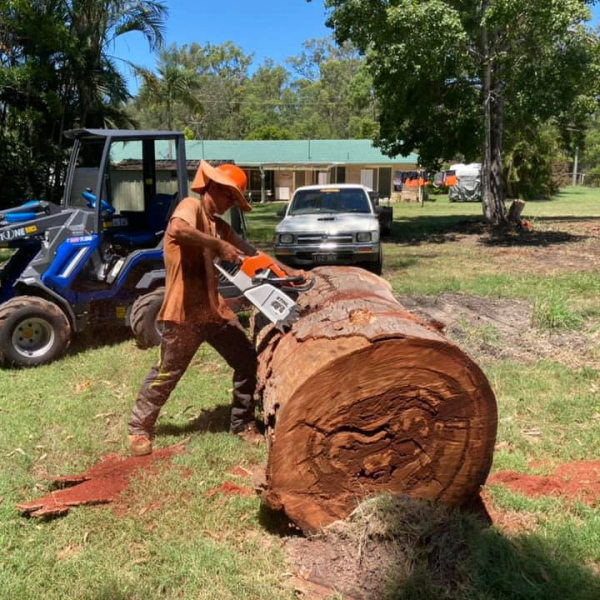 Cutting Tree Trunks