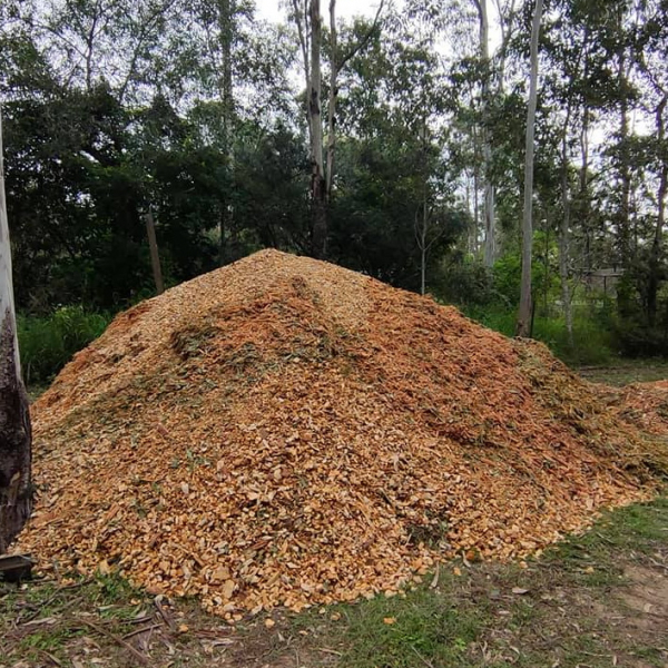 Tree Trunk Mulch