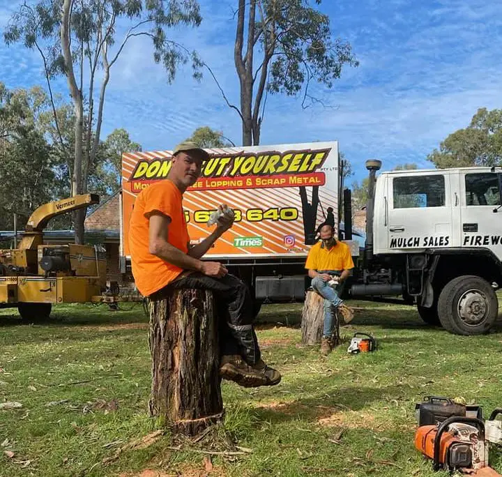 DCY On-Site Tree Removal Quote