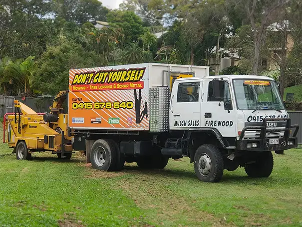 Professional Arborist Tree Removal