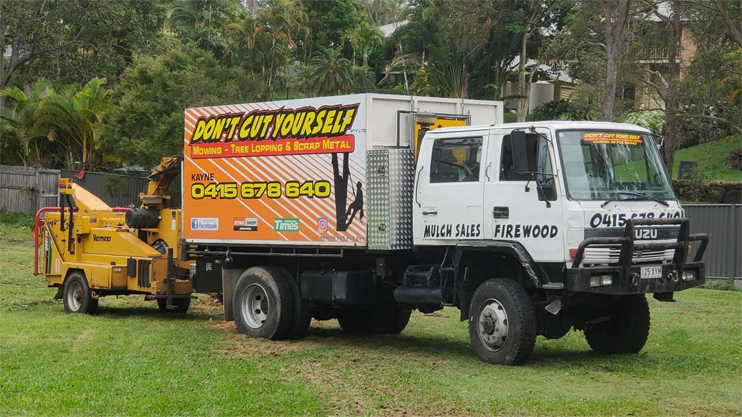 Professional Arborist Tree Removal