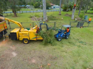 Bluey Tree Lifting Equipment