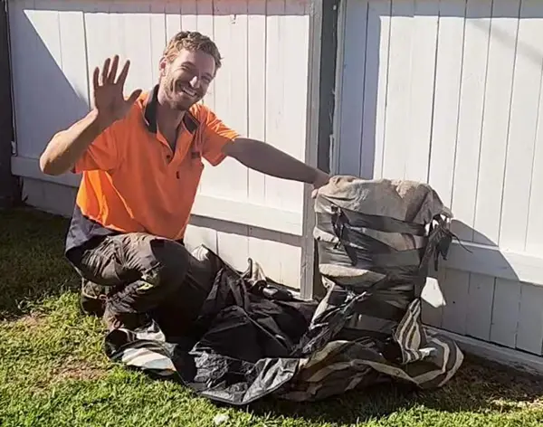 beehive safe removal from tree