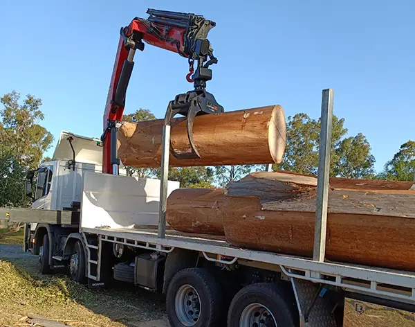 safe removal of straight logs for sawmill